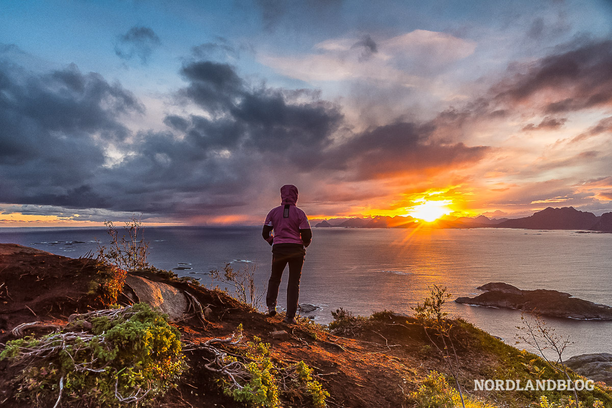 Inseln des Nordens Nordlandblog Norwegen Lofoten Senja